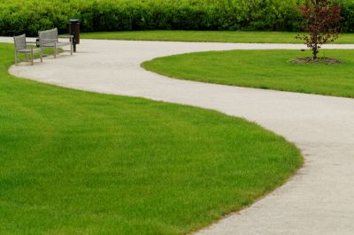 Eco-Friendly Options